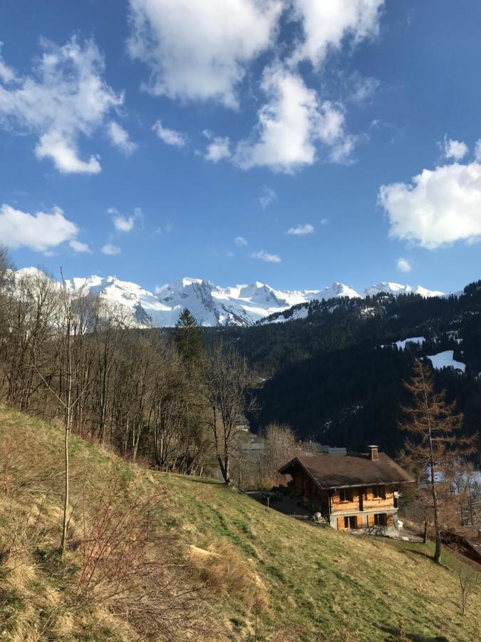 Apartmán La Marmotte Qui Papote Le Grand-Bornand Exteriér fotografie